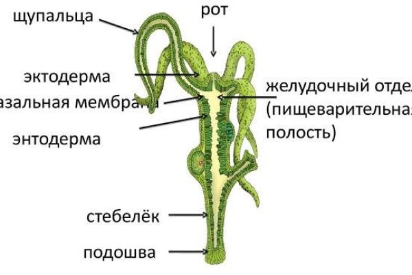 Kra36at