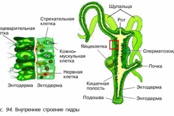 Кракен маркетплейс про