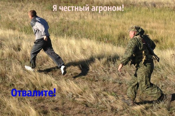 Каталог сайтов даркнет