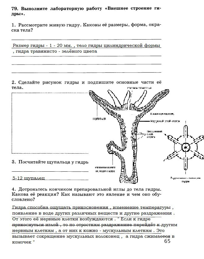 Как вернуть аккаунт на кракене