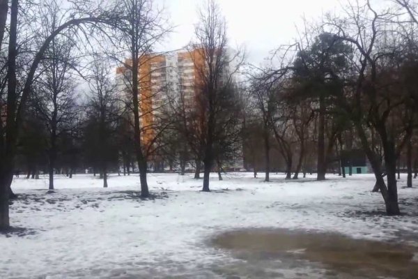 Kraken зайти на сайт