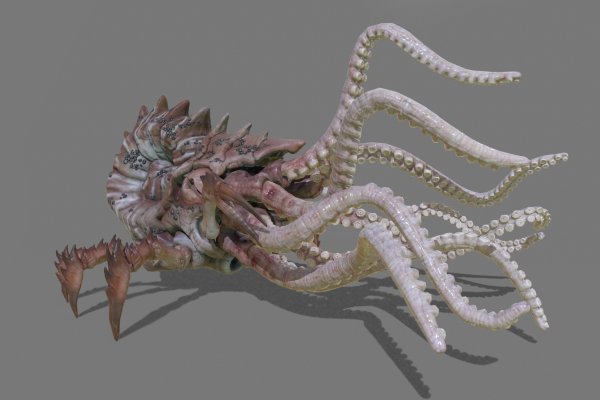 Kraken 14 at