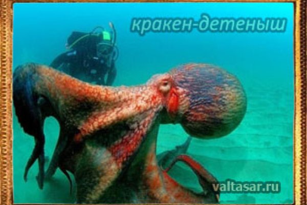 Актуальная ссылка на кракен