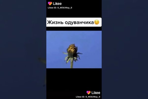 Кракен зеркало onion