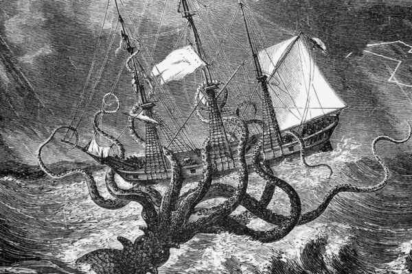 Kraken 20at