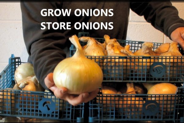 Kraken адрес onion