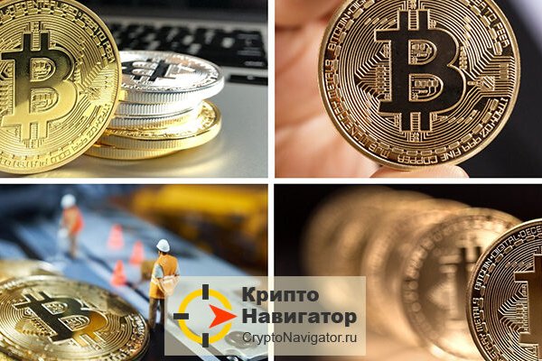 Darknet как войти